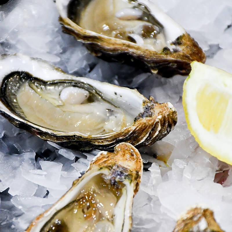 Malpeque Oyster laying on ice with lemon